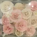 OASE kataokaのプロフィール画像