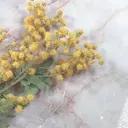 M 🧡CHIKA🧡のプロフィール画像