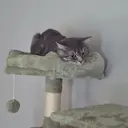 Ku raのプロフィール画像