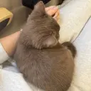 nail salon azuのプロフィール画像