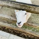 齋藤 健人のプロフィール画像