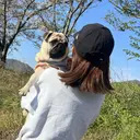 太田 奈留のプロフィール画像