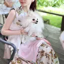 べルーチェ NAKAMURAのプロフィール画像