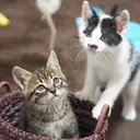 注意事項見て下さい 【香月】のプロフィール画像