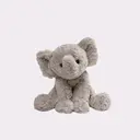 momose syuriのプロフィール画像