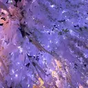 菊田 彩乃のプロフィール画像