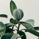 アイラッシュスタジオ ナインテンのプロフィール画像