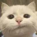 つね ★MEPP★のプロフィール画像