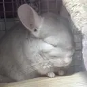 bs-nail金山 田中のプロフィール画像