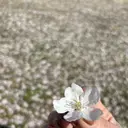 セプトアカデミー 古田のプロフィール画像