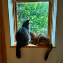 Atelier 美葵のプロフィール画像