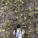 フジ 🐼のプロフィール画像