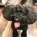 後藤 千枝のプロフィール画像