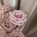 cana LANDHAKATAのプロフィール画像