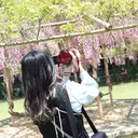 SHINE 谷村のプロフィール画像