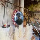 高橋 奎太のプロフィール画像