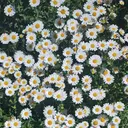 児玉 蒼空のプロフィール画像