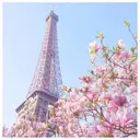 🎀ネイルサロン エクラYUI🎀のプロフィール画像