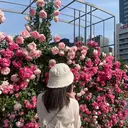 中村 帆花のプロフィール画像