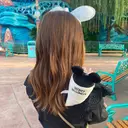 Plaisir 🌸のプロフィール画像