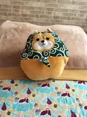 ヘッドスパ 整体coral🪸のプロフィール画像