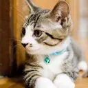 森継  加奈のプロフィール画像