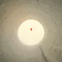 🌞 🌞のプロフィール画像