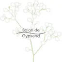 Gypsend サロンドジプセンドのプロフィール画像