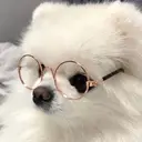 BEAUTYGENE 🪽よこやまのプロフィール画像