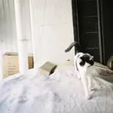 栗栖 颯のプロフィール画像