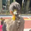 前田 舞のプロフィール画像