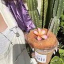 kirara choco lashのプロフィール画像