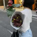 Milobyking honokaのプロフィール画像