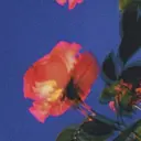 綾香 /透明感カラーのプロフィール画像