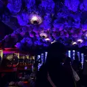 koti Hauruのプロフィール画像