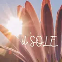 il SOLEのプロフィール画像