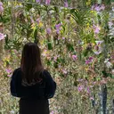 BeckyLash すずきのプロフィール画像