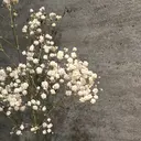 ミハラ アイのプロフィール画像