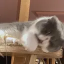 垣内 郁美のプロフィール画像