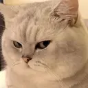 【plume.】 misakiのプロフィール画像