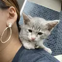 中岡 萌のプロフィール画像