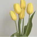 Nami Skinnieのプロフィール画像