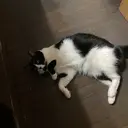 久保 麗美のプロフィール画像