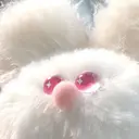 eyelist / asukaのプロフィール画像