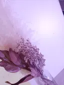 涼 ちゃんのプロフィール画像