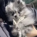 。 Omiのプロフィール画像