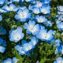 ⭐︎ YUNAのプロフィール画像