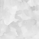 佐藤 渚紗のプロフィール画像