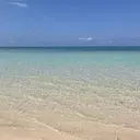 皆川 裕加のプロフィール画像