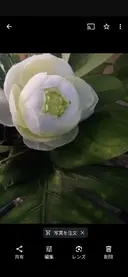 ✃ミヤザキ ヒサシ✃のプロフィール画像